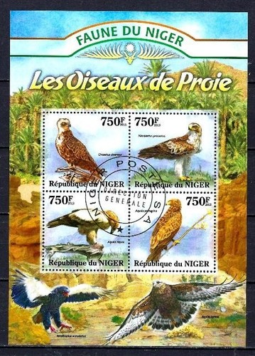 Animaux oiseaux rapaces - animaux, niger
