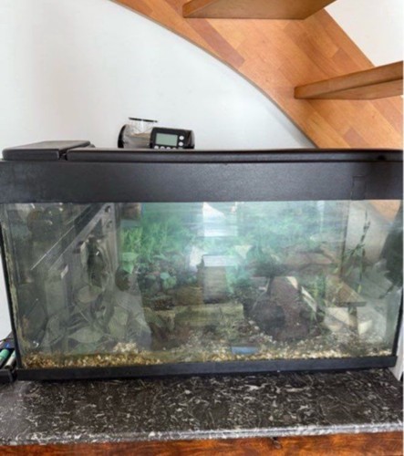 Aquarium complet - aquarium,