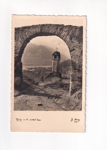 437 carte postale spitz - postale, a.d