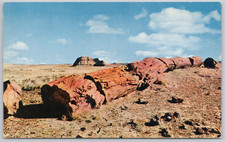 Petrified Forest National Monument Arizona Vintage Postcard