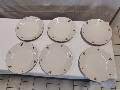 Plat lisses etages en - 6,