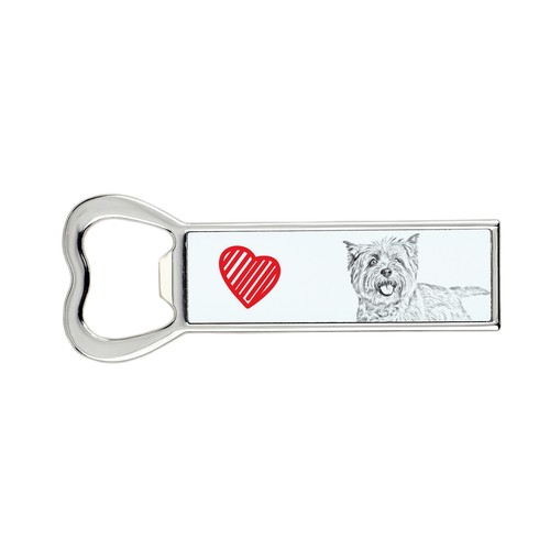 Cairn terrier ouvre - cairn,