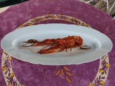 Plat Ovale Porcelaine