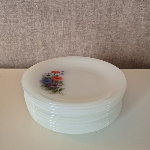 11x assiettes arcopal - 11x,