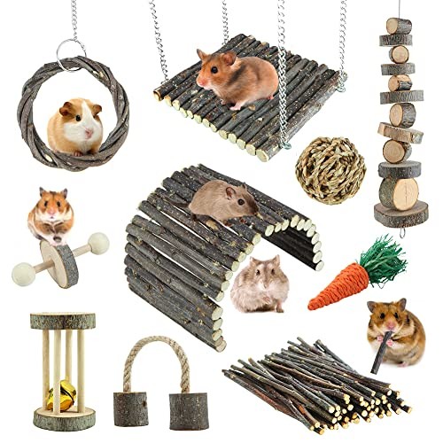 Jouets pour hamster rat - jouets,