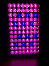 LED Grow Light 300W – Lampe horticole + kit suspension – Hydroponie