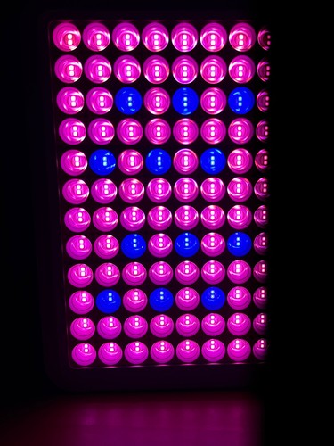 Led grow light 300w - led, lampe