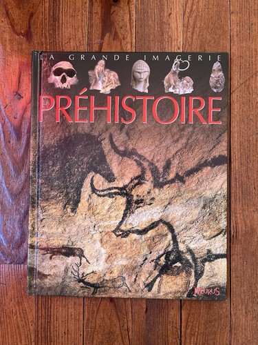Livre préhistoire grande - livre, la