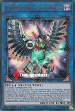 ♦Yu-Gi-Oh!♦ Raidraptor -