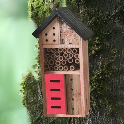 Maison abeilles bois - en,