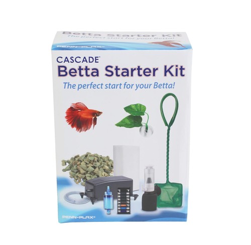 Cascade betta fish - cascade, starter