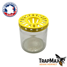 Piège à Frelon Asiatique –