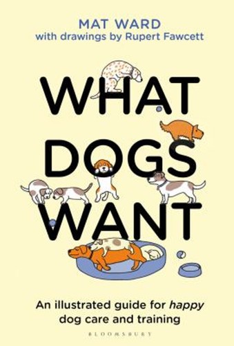 What chiens voulez - what,