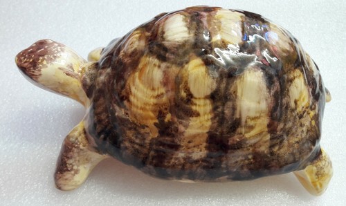 Tortue terre céramique - en,