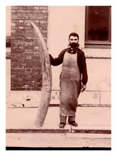 Trophée de chasse, défense éléphant Vintage silver print. Tirage argentique 