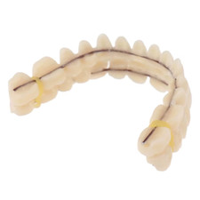 Resin denture, upper and lower shade, artificial, pref