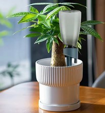 Arrosage Automatique Goutte à