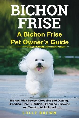 Lolly brown bichon - brown, frise