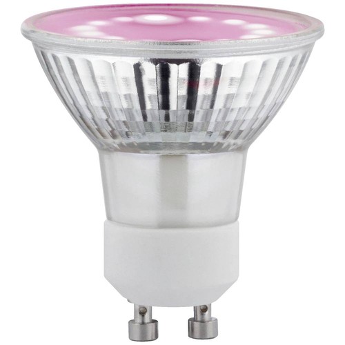 Paulmann lampe pour plantes - lampe,