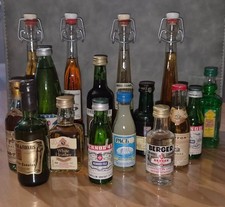 Lot 16 Mignonnettes Alcool