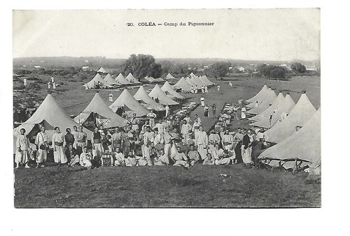Algerie colea camp - algerie,
