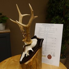 Corne De Cerf Médaille En