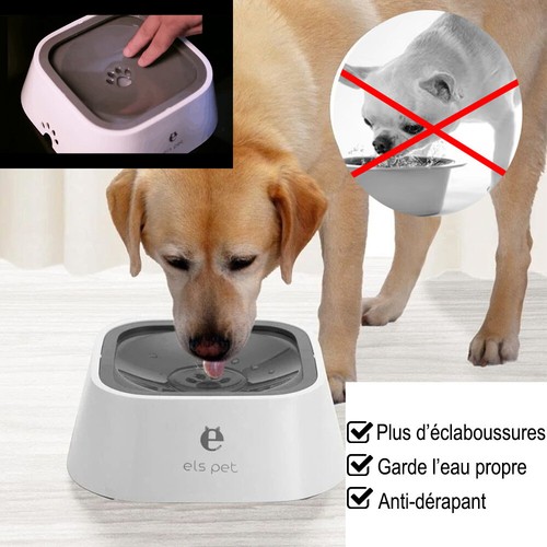 Gamelle eau chien anti - gamelle,