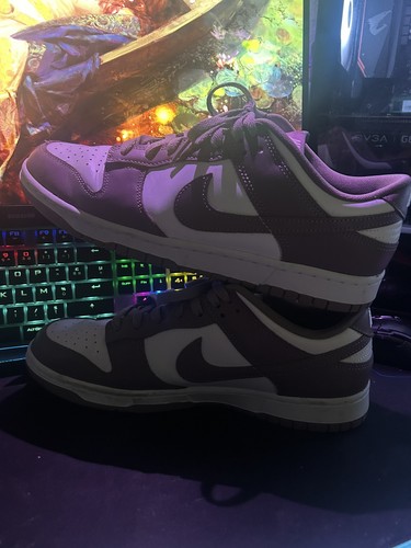 Basket nike dunk - basket, court