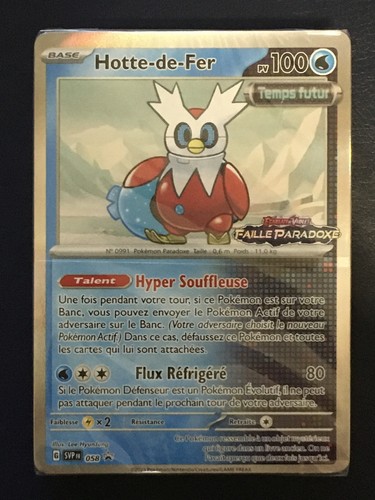 Hotte fer svp058 promo - hotte-de-fer, ap