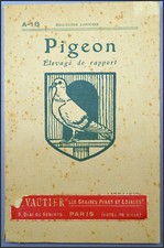 PIGEON ÉLEVAGE DE RAPPORT -