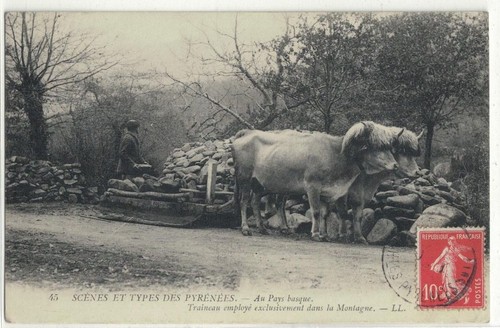 Pays basque traineau - basque, (64)
