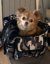 Sac de transport pour petit