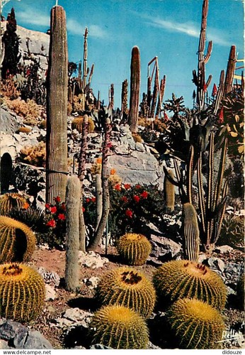 Carte postale fleurs - -,