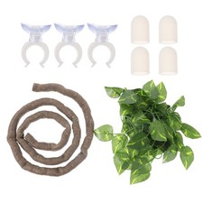  Décoration Pour Terrarium