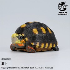 Animal Heavenly Body No.22 Tortoise Blind Box Chelydridae Turtle Decor Model