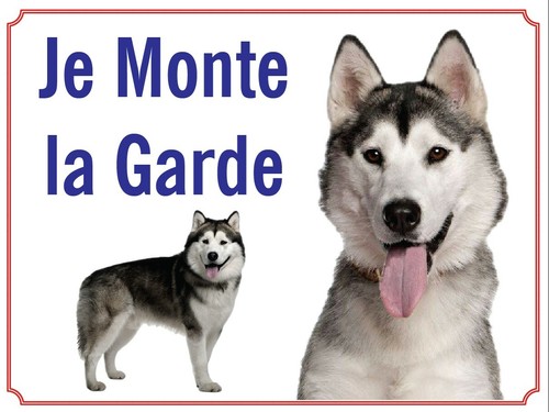 Attention chien je - au, chien,