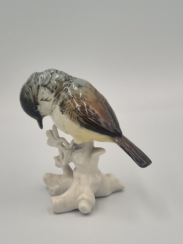 Karl ens mésange à - à, tête