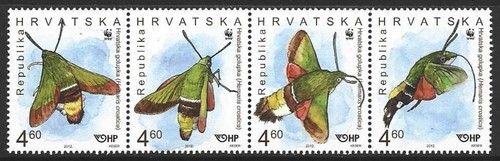 Croatia 2012 fauna animals - croatia,