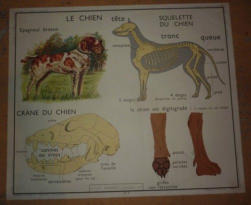 Carte affiche scolaire