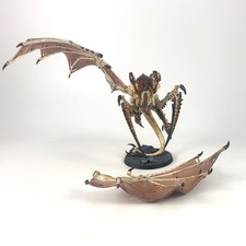 x1 Tyran des ruches aîlé