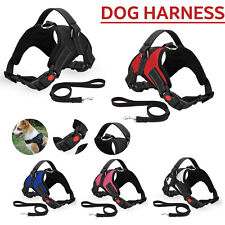 Harnais Pour Chien Anti-Tir Ajustable Fort Rembourré Respirant Durable Nouveau