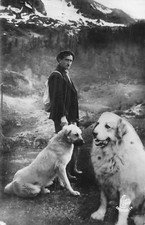 CP PYRENEES HERD GUARDIAN DOGS - 56461
