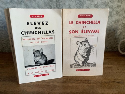 Elevez des chinchillas - , le