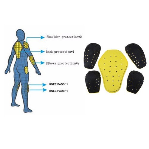Ensemble protection dorsale
