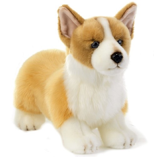 Peluche chien corgi - peluche,