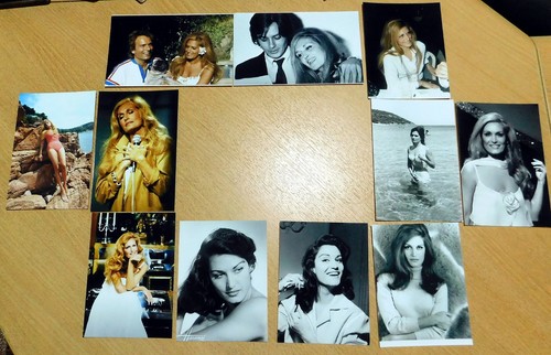 Lot photos dalida - 11,
