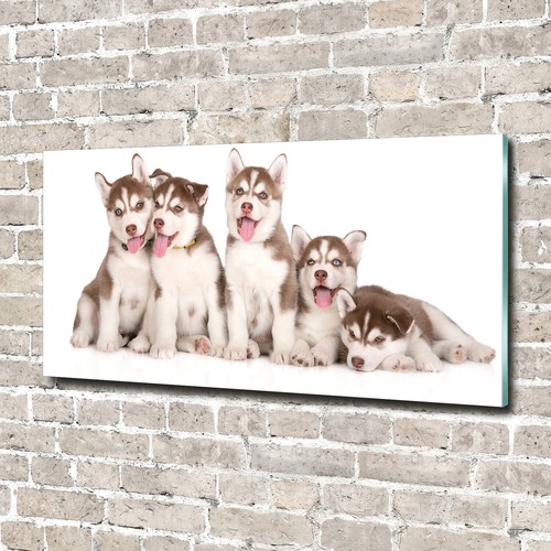Tulup image sur - sur, verre