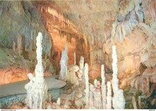 Lebanon - Jiita Cave - Jilta Grotto Upper Gallery - Petrified forest - Caving