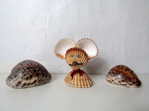 Anciens coquillages souris - coquillages, en