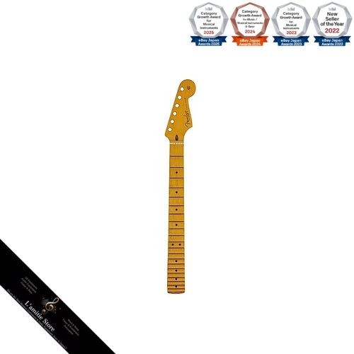 Fender american professional - american,